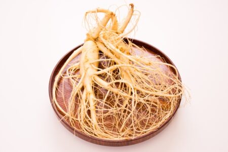 Conscientious Herb Gathering: Harvesting Ginseng Image